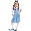 Dotsy's Entertainment Co. Child Dorothy Costume 2 Dotsy's Entertainment Co. Child Dorothy Costume