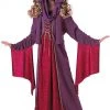 Dotsy's Entertainment Co. Rubies Medieval Princess Renaissance Halloween Costume Child Standard Kid's Halloween Costumes