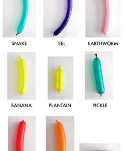 Dotsy's Entertainment Co. Hourly Balloon Twisting Services