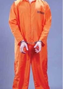 Fun World Jail Bird Orange Jumpsuit Prisoner Adult Halloween Costume