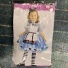 Dotsy's Entertainment Co. Alice In Wonderland Costume (child)