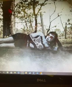 Dotsy's Entertainment Co Special FX Makeup Appointment