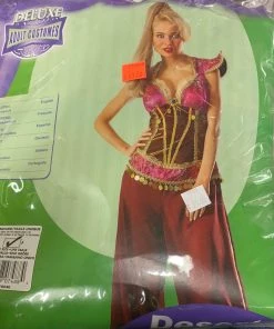 Dotsy's Entertainment Co. Women's Costumes Desert Jewel Arabian Nights Costume Adult Size 10-12
