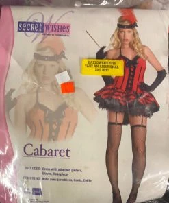 Dotsy's Entertainment Co. Cabaret (adult) Costume