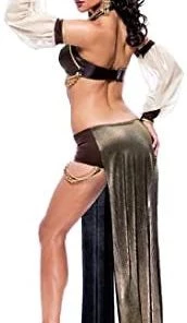 Dotsy's Entertainment Co. Paper Magic Women’s French Kiss Arabian Seductress Halloween Costume Adult Medium