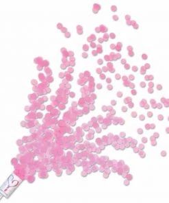 Dotsy's Entertainment Co. Gender Reveal Baby Confetti Poppers !