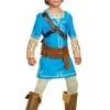 Disguise Zelda Costume Link Kid's Halloween Costumes