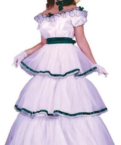 Dotsy's Entertainment Co. Southern Belle Halloween Costume - Adult Medium/Large 10-14